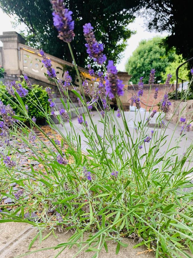 Ferndale Mews Panzió Bristol Kültér fotó